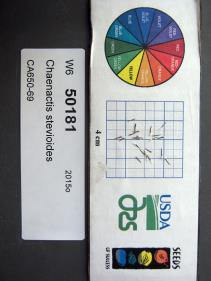 Click for 1 image(s) for this accession. SEED