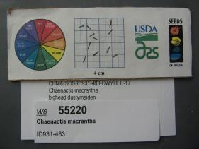 Click for 1 image(s) for this accession. SEED