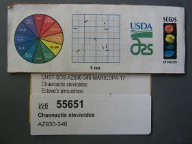 Click for 1 image(s) for this accession. SEED