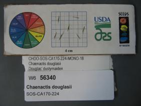 Click for 1 image(s) for this accession. SEED