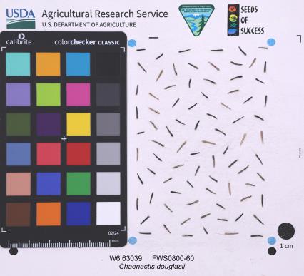Click for 1 image(s) for this accession. SEED