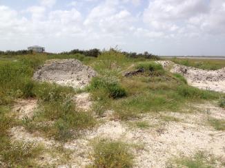 column HABITAT
