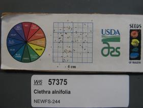 Click for 1 image(s) for this accession. SEED