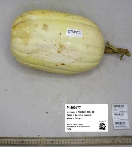 column FRUIT