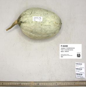 column FRUIT