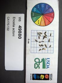 SEED