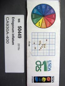 SEED