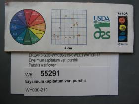 Click for 1 image(s) for this accession. SEED