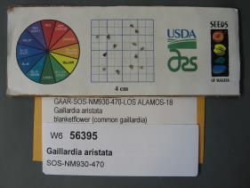 SEED