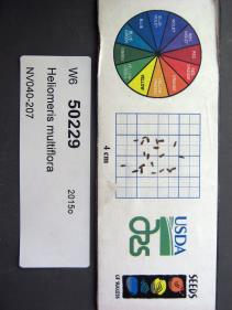 Click for 1 image(s) for this accession. SEED