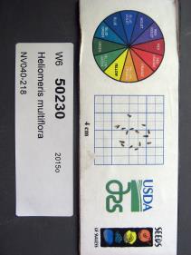 Click for 1 image(s) for this accession. SEED