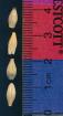 column KERNELS