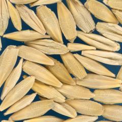 KERNELS