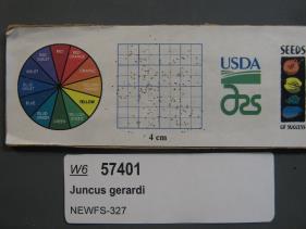 SEED