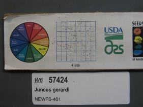 SEED