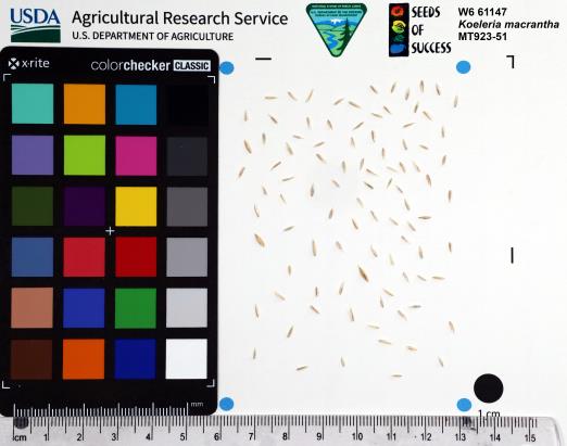 SEED