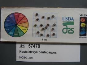 SEED