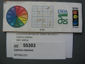 Click for 1 image(s) for this accession. SEED