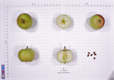 column FRUIT