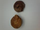 column FRUIT