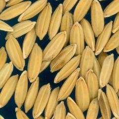 column KERNELS
