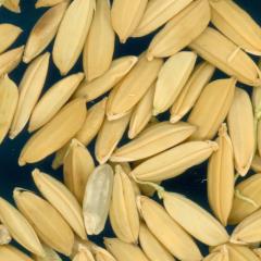 column KERNELS