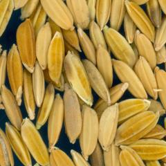 column KERNELS