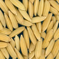 column KERNELS