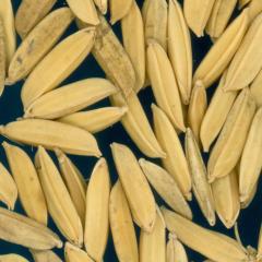 column KERNELS