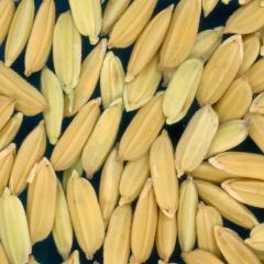 column KERNELS