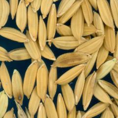 column KERNELS