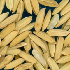 column KERNELS