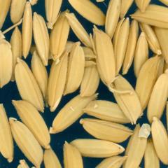 column KERNELS