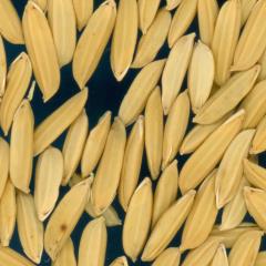 column KERNELS