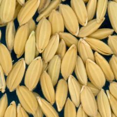 column KERNELS