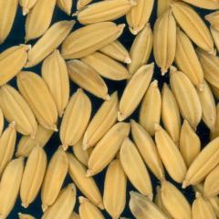 column KERNELS