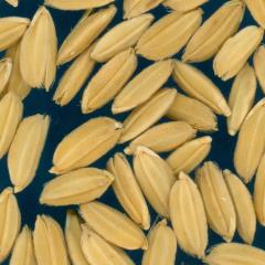 column KERNELS