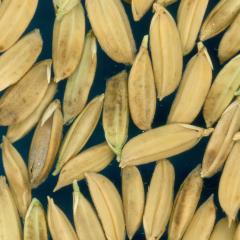 column KERNELS