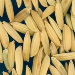 column KERNELS