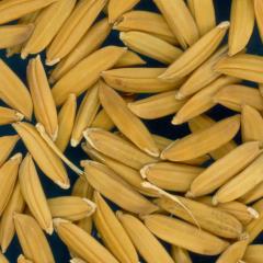 column KERNELS