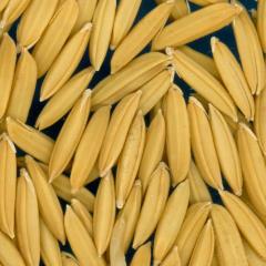 column KERNELS