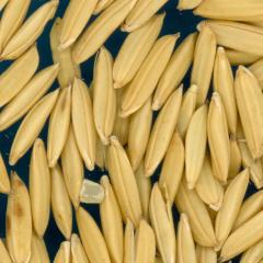 column KERNELS