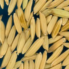 column KERNELS