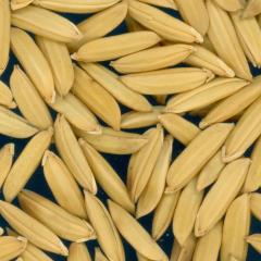 column KERNELS