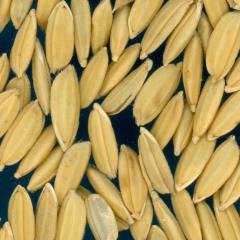 column KERNELS