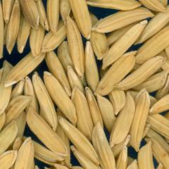 column KERNELS