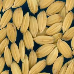 column KERNELS