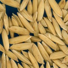 column KERNELS