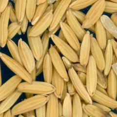 column KERNELS