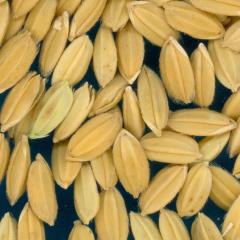 column KERNELS